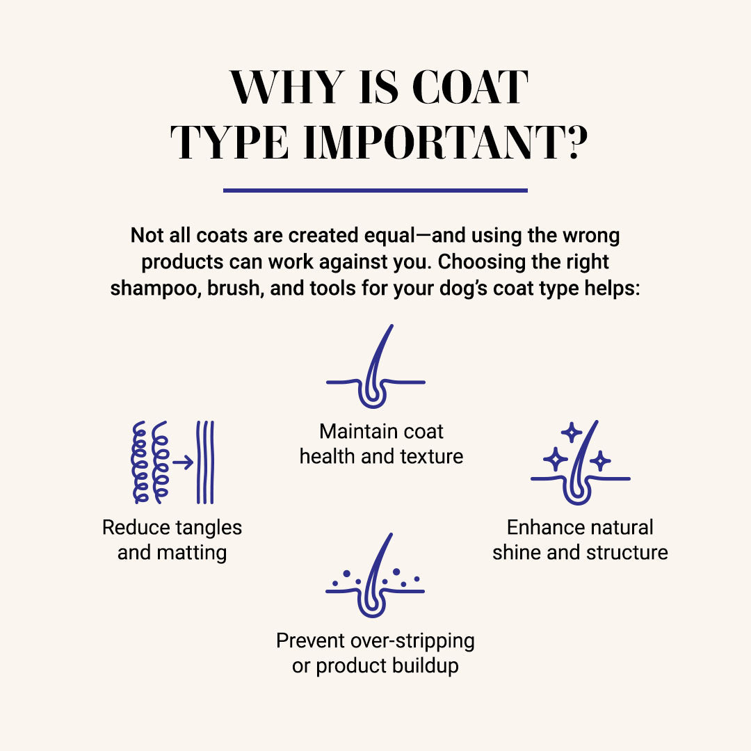 Why is coat type important? Not all coats are created equal - and using the wrong products can work against you. Choosing the right shampoo, brush and tools for your dog's coat type helps maintain coat health and texture, reduce tangles and matting, enhance natural shine and structure, and prevent over-stripping or product buildup.