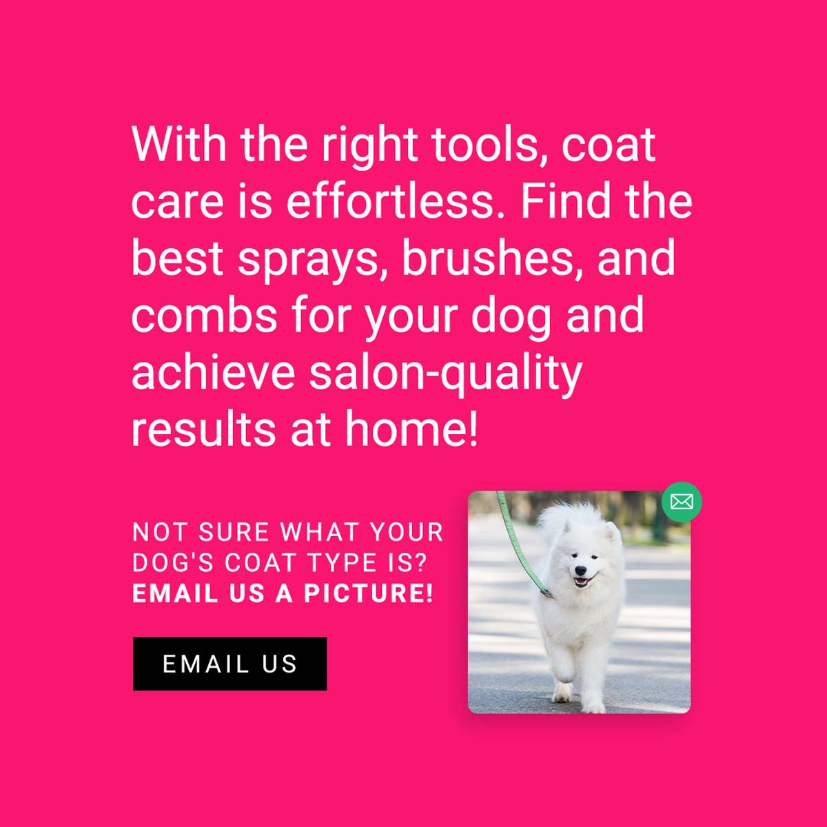 With the right tools, coat care is effortless. Find the best sprays, brushes, and combs for your dog and achieve salon-quality results at home! Not sure what your dog's coat type is? Email us a picture!