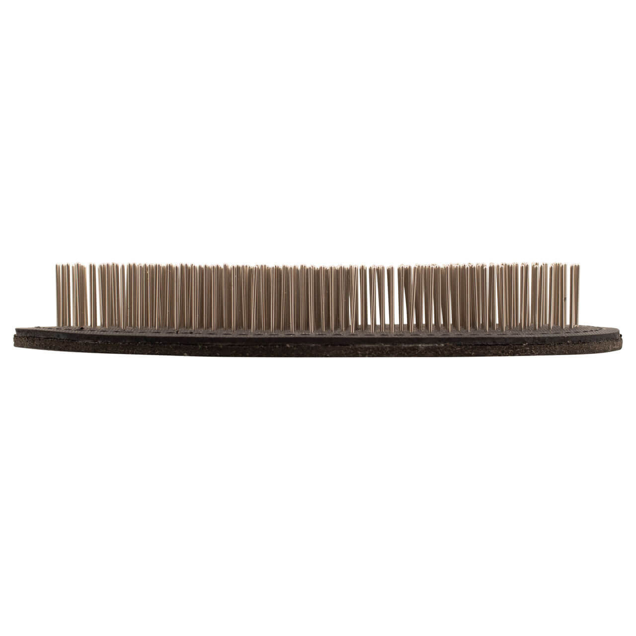 #A616 Palm Terrier Brush - Side View