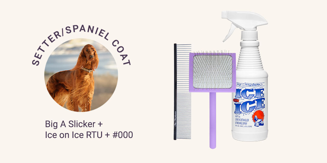 Setter/Spaniel Coat = Big A Slicker + Ice on Ice RTU + #000 Buttercomb