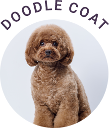 Doodle Coat