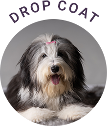 Drop Coat