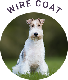Wire Coat